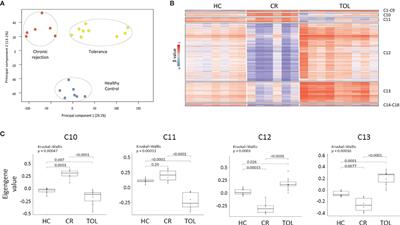 Defining a Methylation Signature Associated With Operational Tolerance in Kidney Transplant Recipients